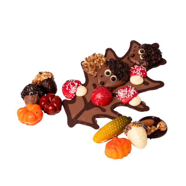 Assorti herfst blister - Afbeelding 2
