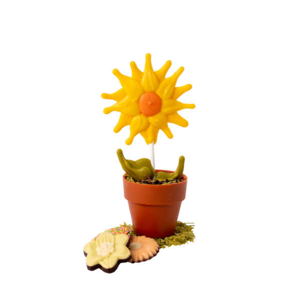 Bloem in pot