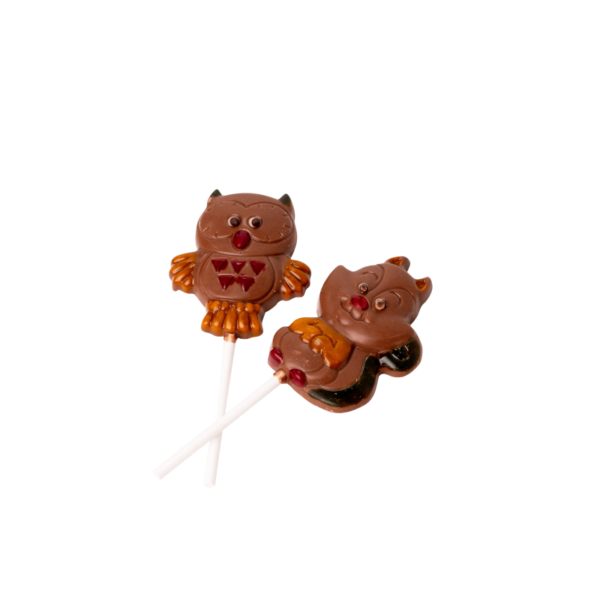 Dieren lolly