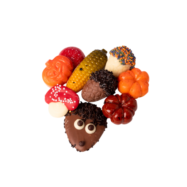 Zakje herfstchocolade